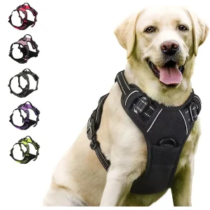 SecureFit No-Pull Dog Harness (Reflective) 1