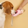 GoSip Portable Dog Water Bottle