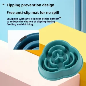 Anti-Gulp Slow Feeder Bowl 2